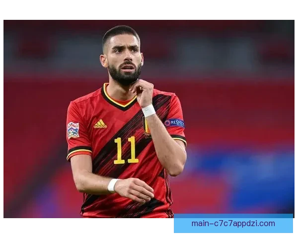 塞雷佐赞西蒙尼年轻可久执教